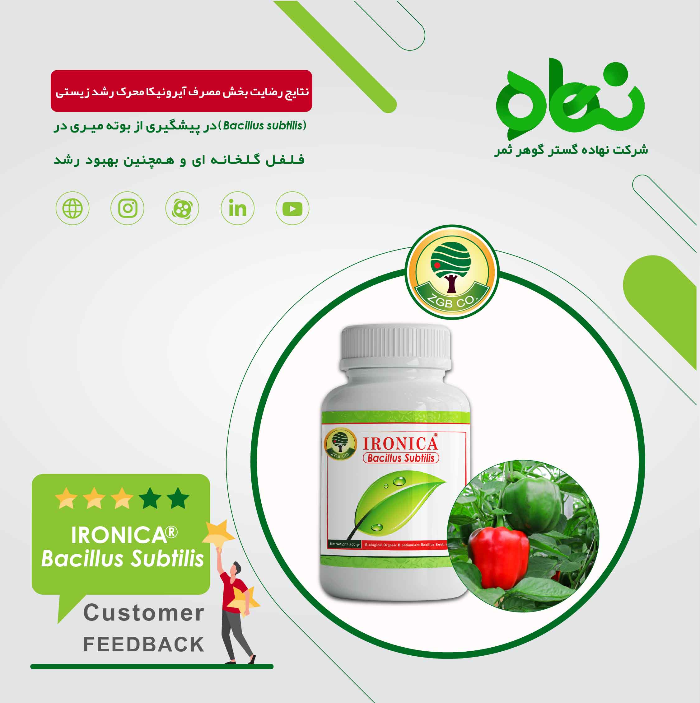 نتایج رضایت بخش مصرف آیرونیکا محرک رشد زیستی Bacillus Subtilis